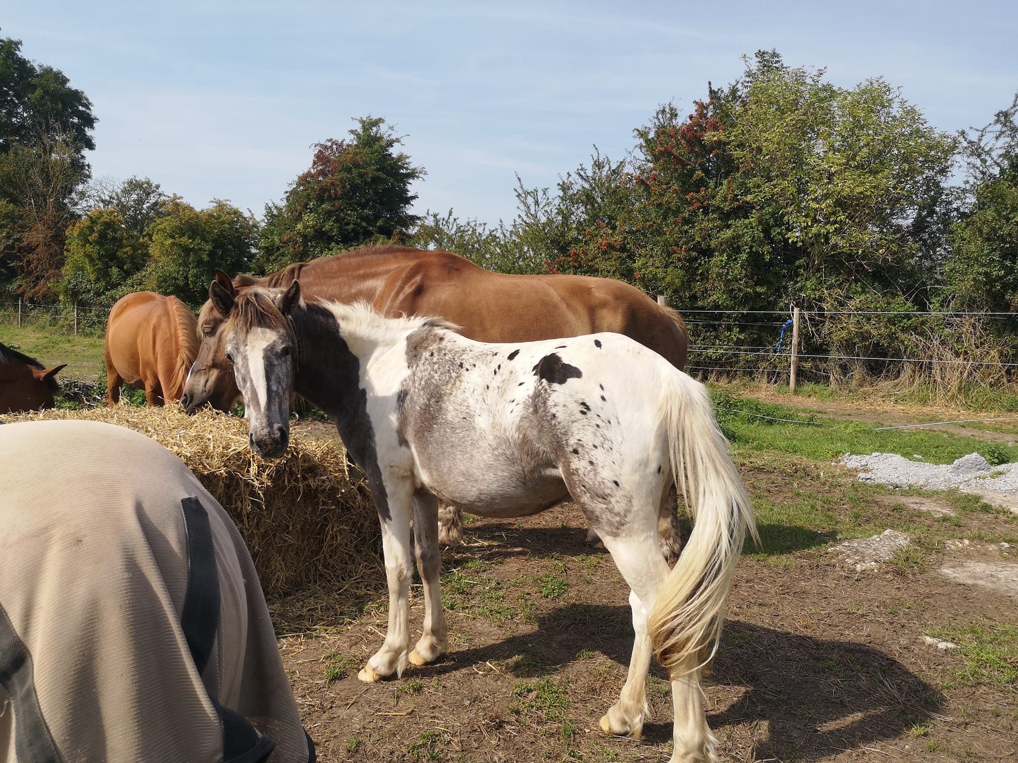 //meurloir.creatineweb.com/